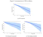 Long Run Inflation: Persistence and Central Bank Independence